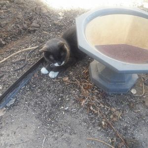 Meet your Posher, Judy